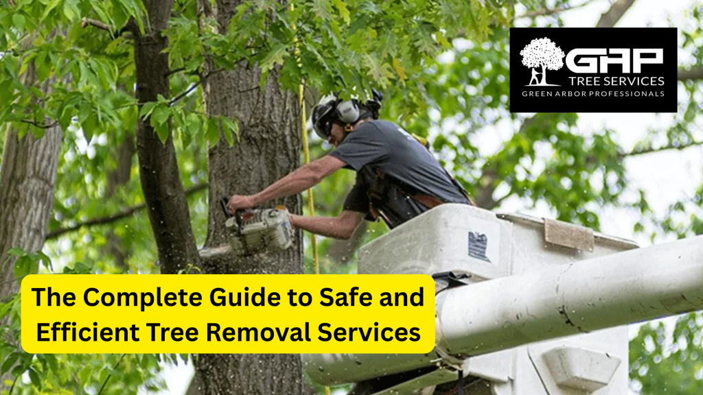 The Complete Guide to Safe and Efficient Tree Removal Services