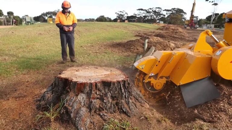 Why Is Stump Grinding Important? | GAP TREE SERVICES