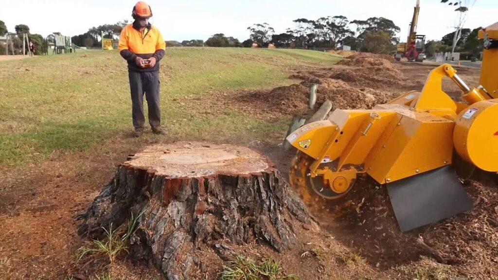 Stump Grinding Sydney