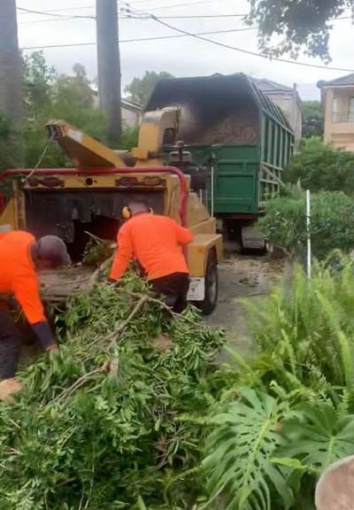 Green Waste Removal Sydney