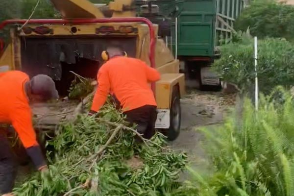 Green Waste Removal Sydney