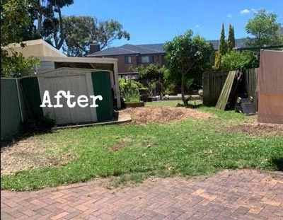 After tree removal
