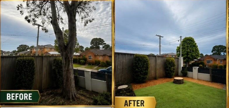 Tree removal work in Narwee