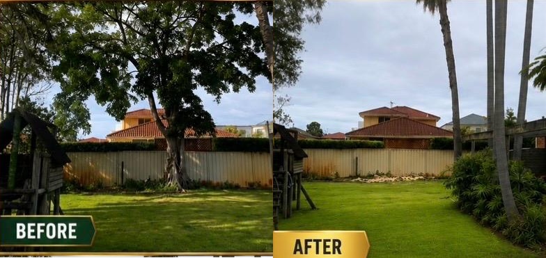 Tree removal work in Monterey
