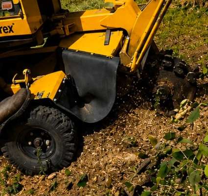 Tree service equipment