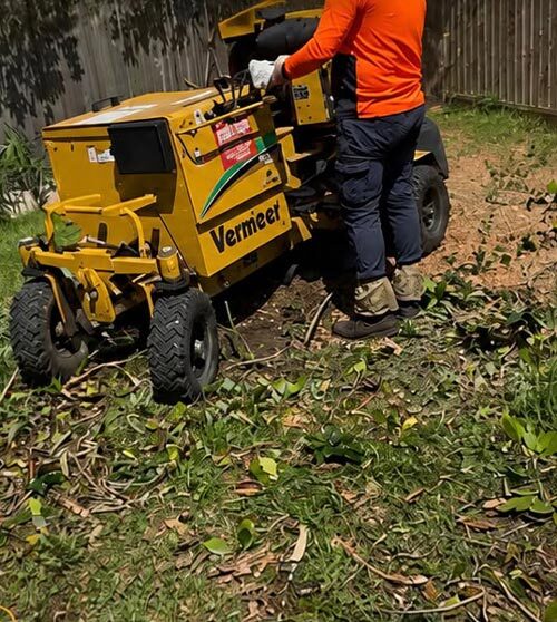 Completed tree work