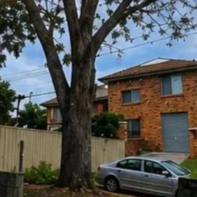 Tree removal work in Enmore