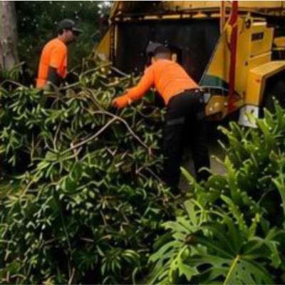 Tree service equipment