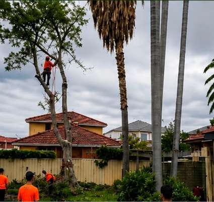 Professional arborist service